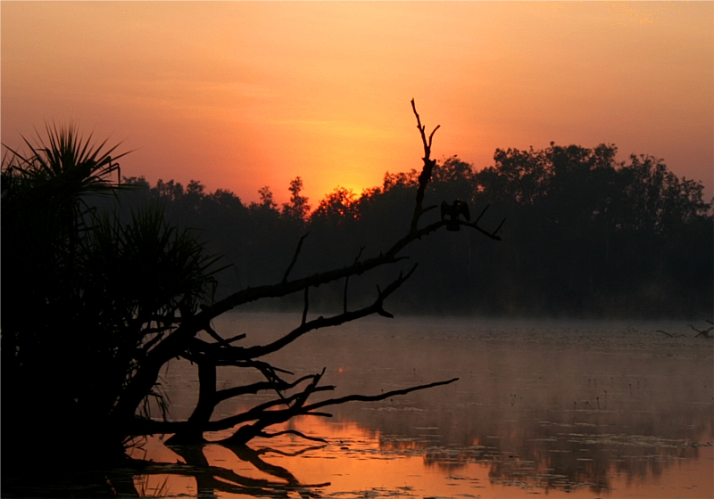 Sunrise in Kakadu Nationalpark